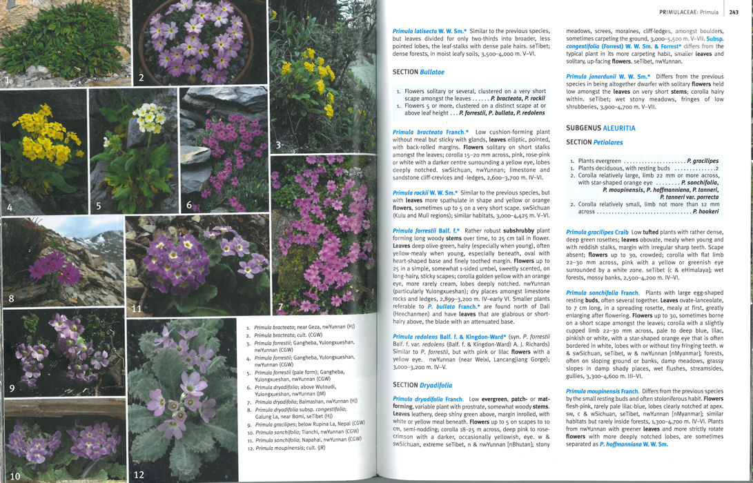 Guide to the flowers of Western China - Jans Alpines